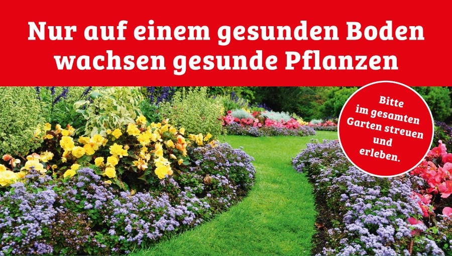 Gesunder Boden, gesunde Pflanzen