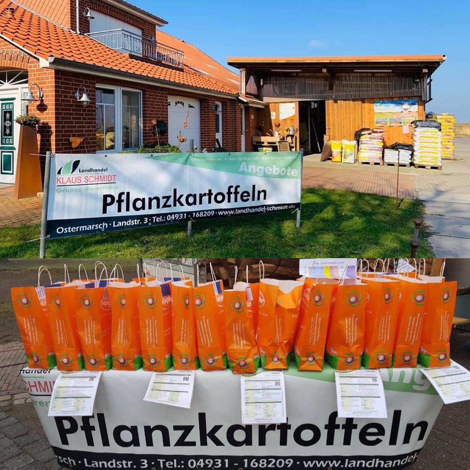 Pflanzkartoffeln am Lager